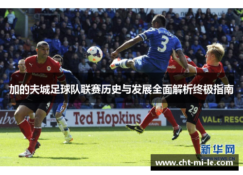 加的夫城足球队联赛历史与发展全面解析终极指南